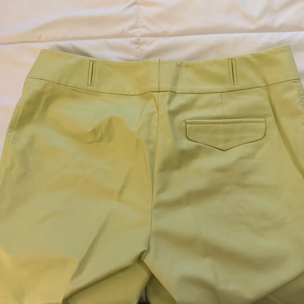 Ann Taylor Lime Straight Leg Pants - Picture 5 of 9